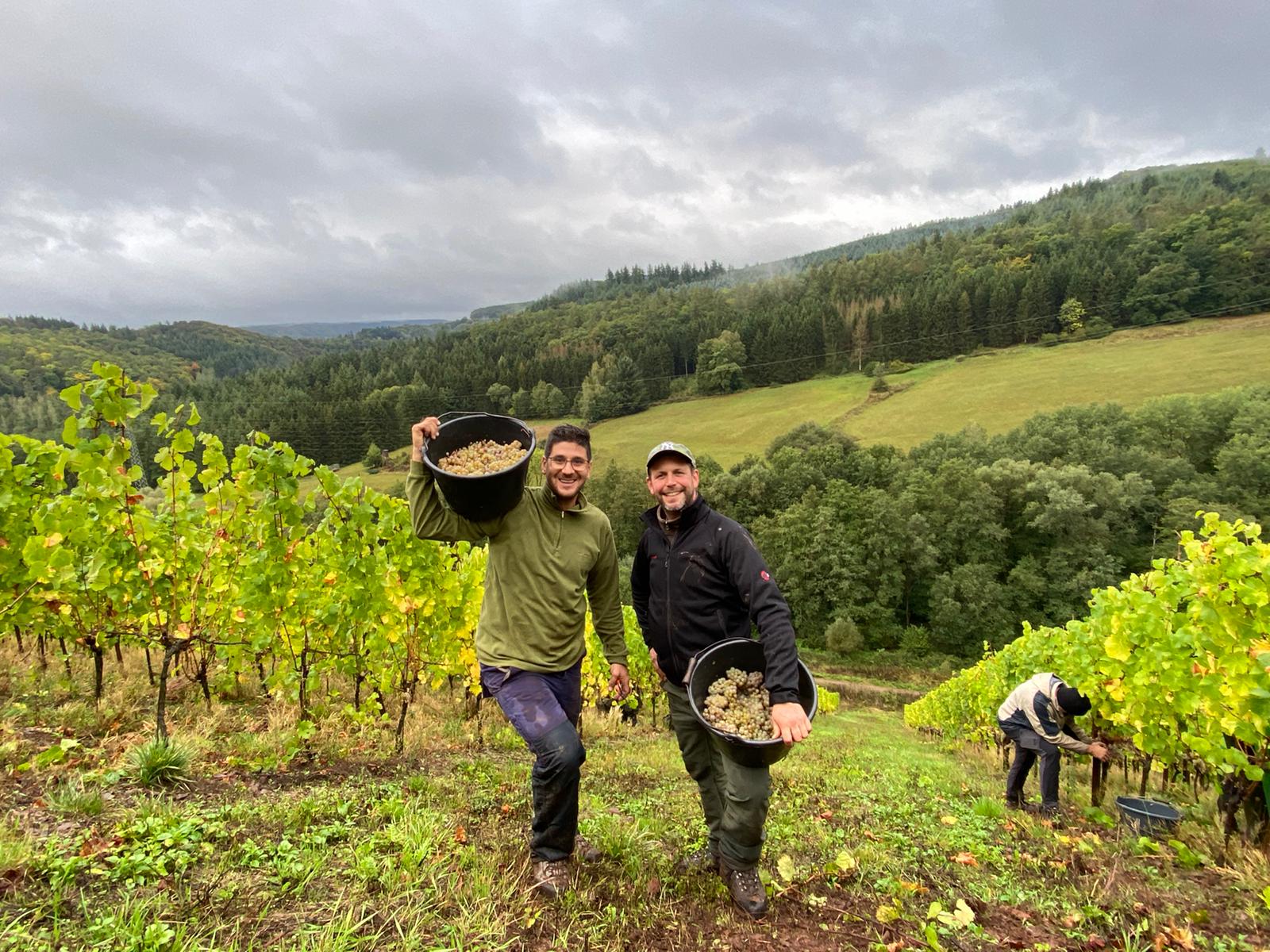 2 giovani vignaioli, 1000 vecchie vigne: questo è Sorentberg