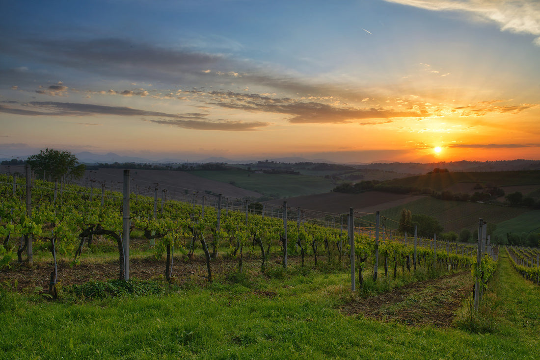 Foto panoramica delle Marche