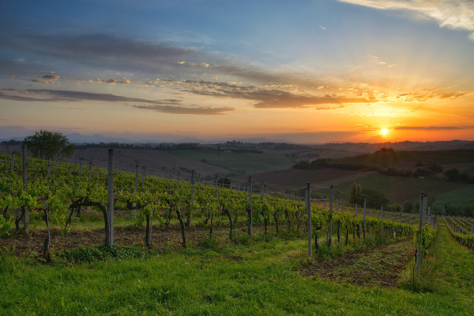 Foto panoramica delle Marche